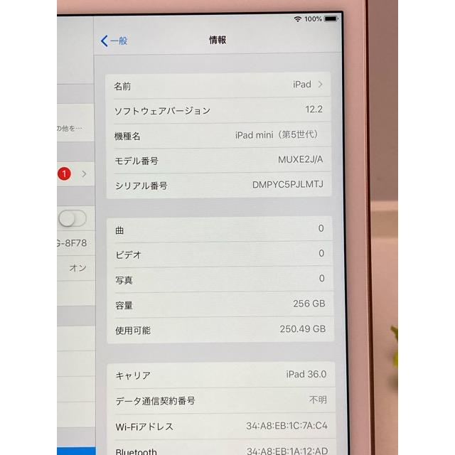 新品同様☆ ドコモ SIMフリー アップル iPad mini 第５世代 256GB Wi-Fi + Cellular MUXE2J/A バッテリー100％ A7696 | iPad mini | 06