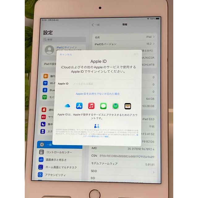 iPad mini 新品同様☆ 国内版 SIMフリー Apple アップル ipad 第5世代