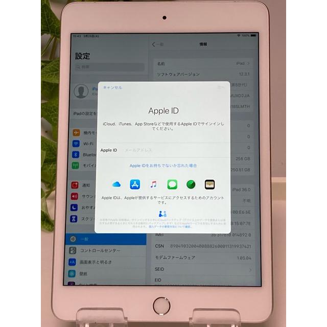 新品同様☆ アップル ドコモ SIMフリー iPad mini5 Wi-Fi+Cellular 256GB MUXD2J/A 7.9インチ バッテリー100％★ A7699 | iPad mini | 09