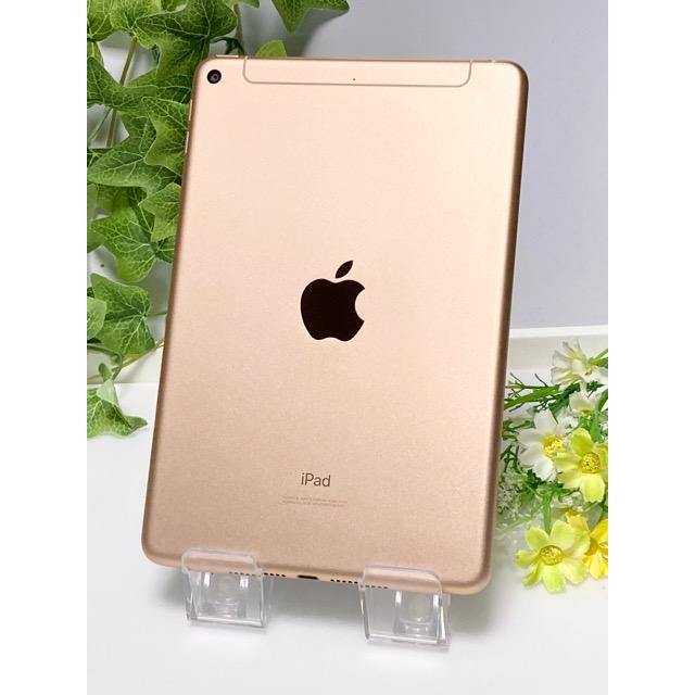 iPad mini 新品同様☆ ドコモ SIMフリー アップル 第5世代 256GB Wi 