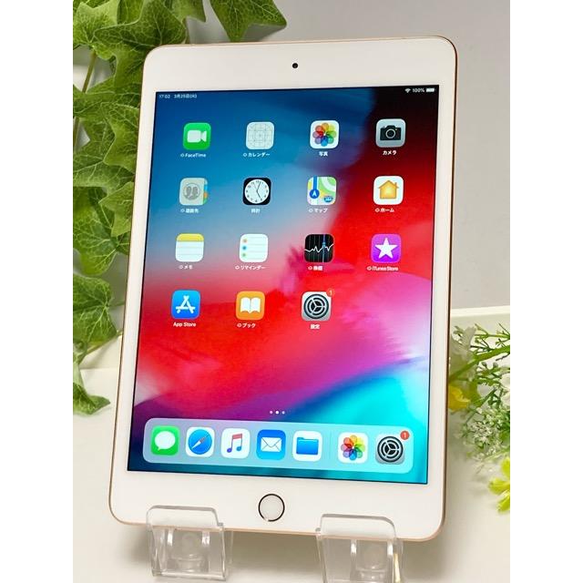 iPad mini 新品同様☆ ドコモ SIMフリー アップル 第5世代 256GB Wi 