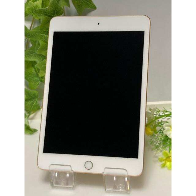 iPad mini 新品同様☆ ドコモ SIMフリー アップル 第5世代 256GB Wi 