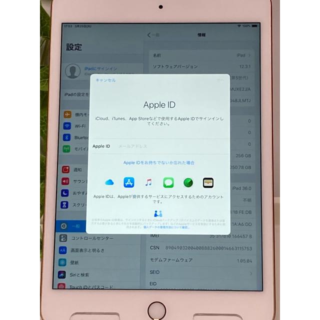 iPad mini 新品同様☆ ドコモ SIMフリー アップル 第5世代 256GB Wi 