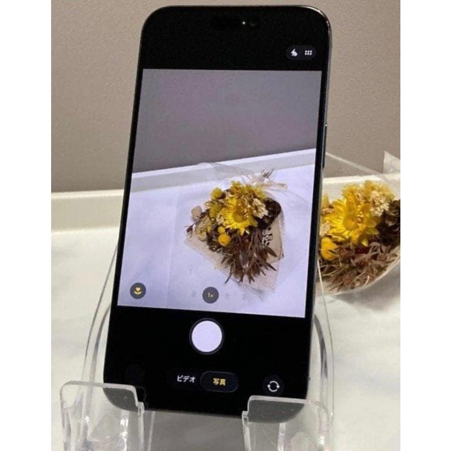 iPhone 15 Pro Max 美品【シャッター音なし】iPhone 256GB MU2N3CH/A