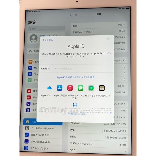 iPad Air Apple Air2 A1567 MH172J/A 64GB Wi-Fi+Cellular ゴールド