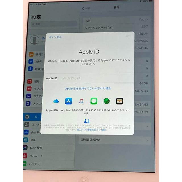 iPad Air Wi-Fiモデル 64GB MD790J/A [シルバー] iOS12.5.7 バッテリー 