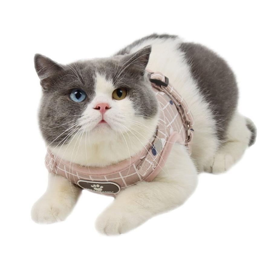 犬 ハーネス リード セット 小型犬 猫 おしゃれ 可愛い 猫用 チェック