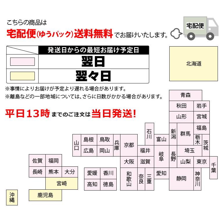 選べる7色 キッズフォン3 & キッズフォン2 & キッズケータイ & マモリーノ6 ランドセル対応 ケース キッズホルダー４ キッズ携帯 ASDEC｜mobilefilm｜28