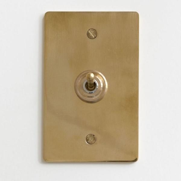 ライト 照明 オプションパーツ スイッチプレート 真鍮 ゴールド AXCIS アクシス