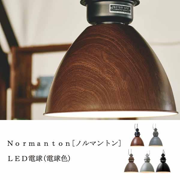 Normanton ノルマントン LED電球 一般球形LED電球 電球色 付 0252-li-lt-1863