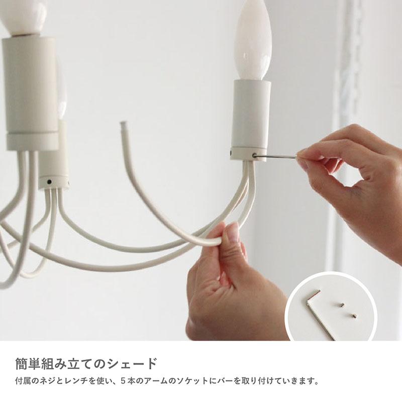 DI CLASSE（ディクラッセ） Arco small アルコスモール 5灯
