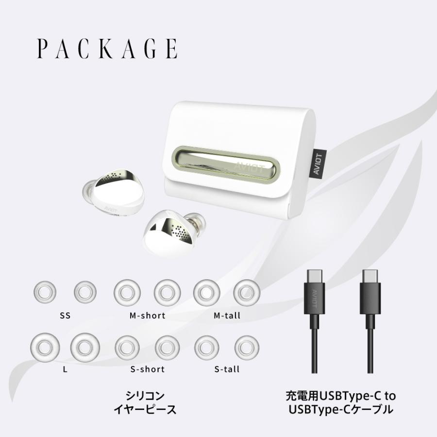 AVIOT AVIOT TE-J2 HYDE氏CM出演モデル ワイヤレスイヤホン ノイズ