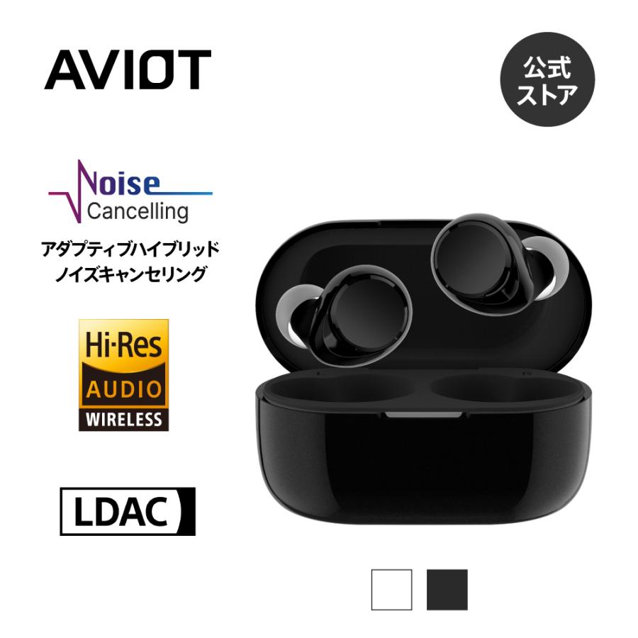 AVIOT TE-V1R ワイヤレスイヤホン ノイズキャンセリング AVIOT TE-V1R ワイヤレスイヤホン ノイズキャンセリング