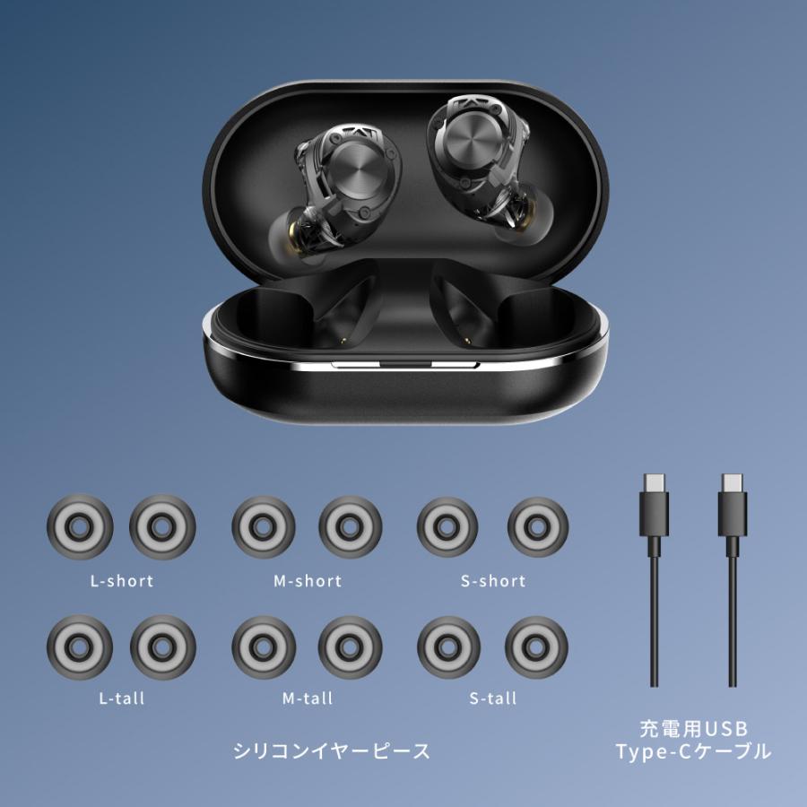 AVIOT AVIOT TE-W2 ワイヤレスイヤホン アダプティブハイブリッド