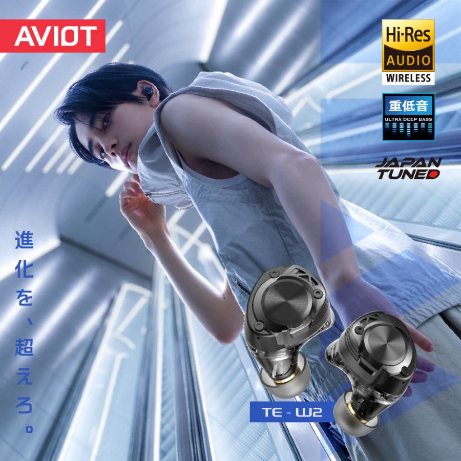 AVIOT AVIOT TE-W2 ワイヤレスイヤホン アダプティブハイブリッド