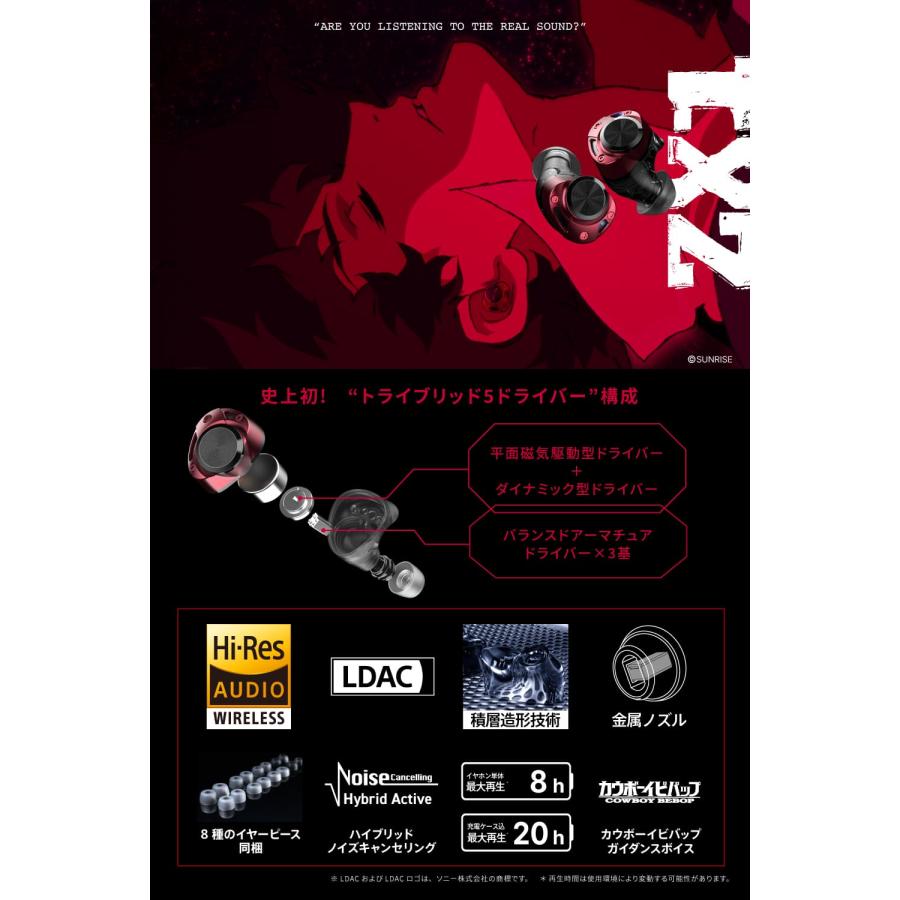 AVIOT TE-ZX1 ノイズキャンセリング ワイヤレスイヤホン AVIOT TE-ZX1 ノイズキャンセリング ワイヤレスイヤホン