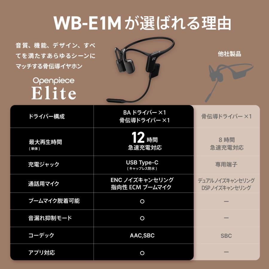 AVIOT WB-E1M 指向性ECMブームマイク付き 骨伝導 イヤホン AVIOT WB-E1M 指向性ECMブームマイク付き 骨伝導 イヤホン