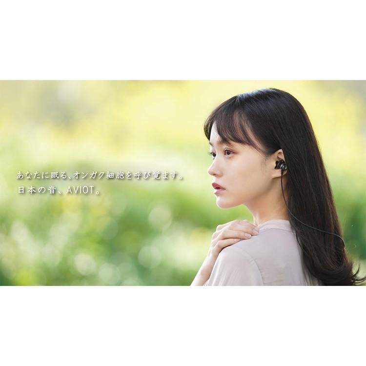 AVIOT WE-BD21d シルバー Bluetoothイヤホン マニアも魅了する意欲作！ AVIOTの“ハイブリッド・トリプル