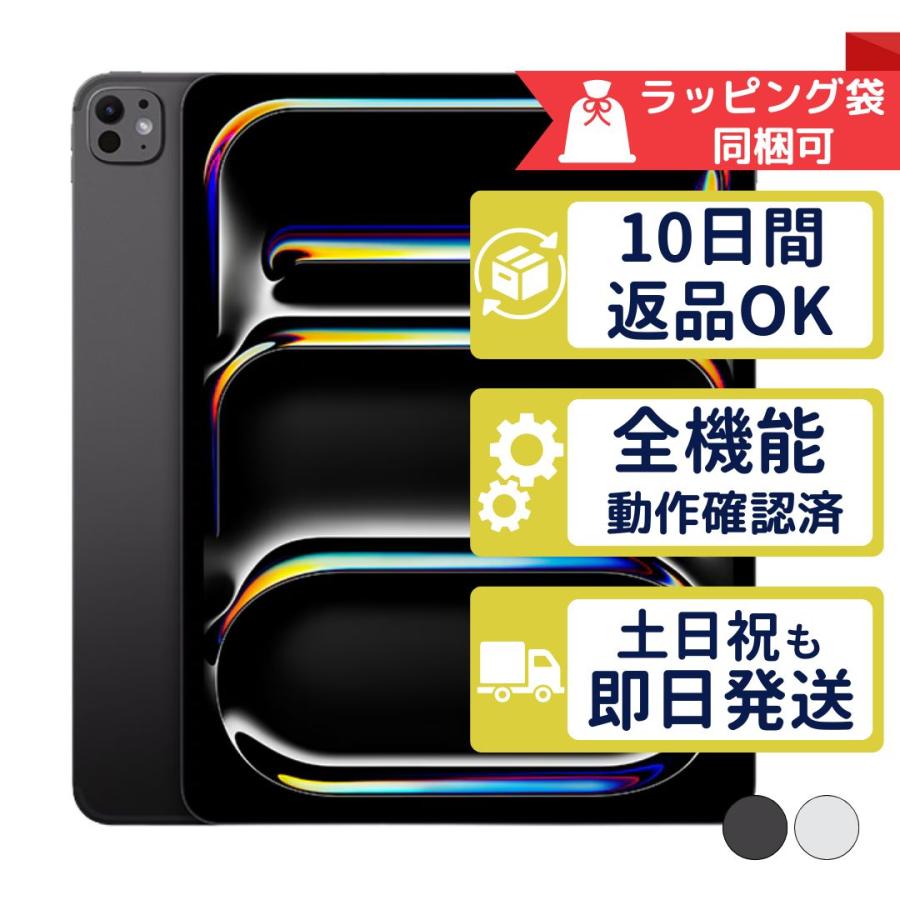 iPad Pro 13インチ M5 256GB APPLE Wi-Fiモデル 中古 Aランク 商品補償