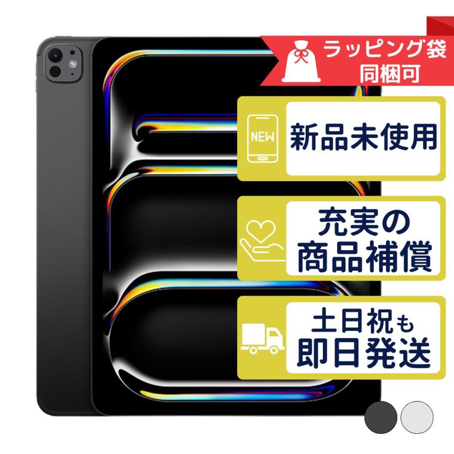iPad Pro 13インチ M5 256GB APPLE Wi-Fiモデル 新品・未使用 本体