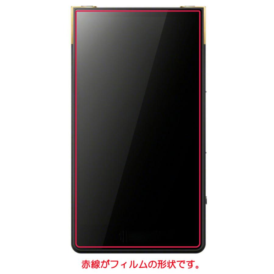 2枚セット Sony ウォークマン NW-ZX700シリーズ NW-ZX707 用 2枚セット Sony ウォークマン NW-ZX700シリーズ NW-ZX707 用
