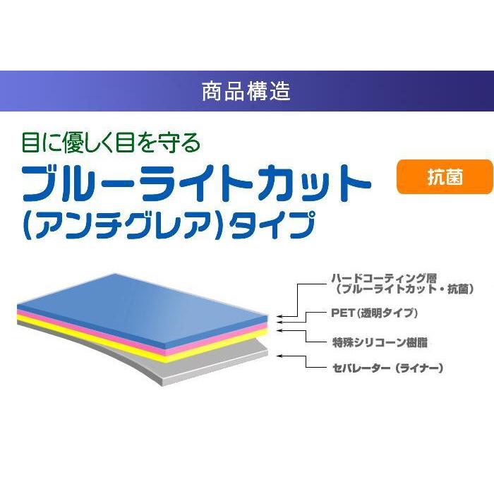 Asus ProArt PA24AC 24インチ用 DP アンチグレア・ブルーライトカットタイプ 液晶保護フィルム 特定記録郵便 送料無料｜mobilewin｜02