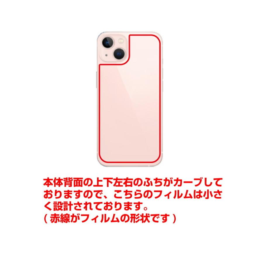 2枚セット Apple iPhone 13 用 カーボン調 背面保護フィルム ポスト