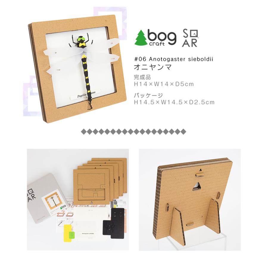bog craft 組み立てるインテリア 工作 飾り ペーパークラフト SQAR
