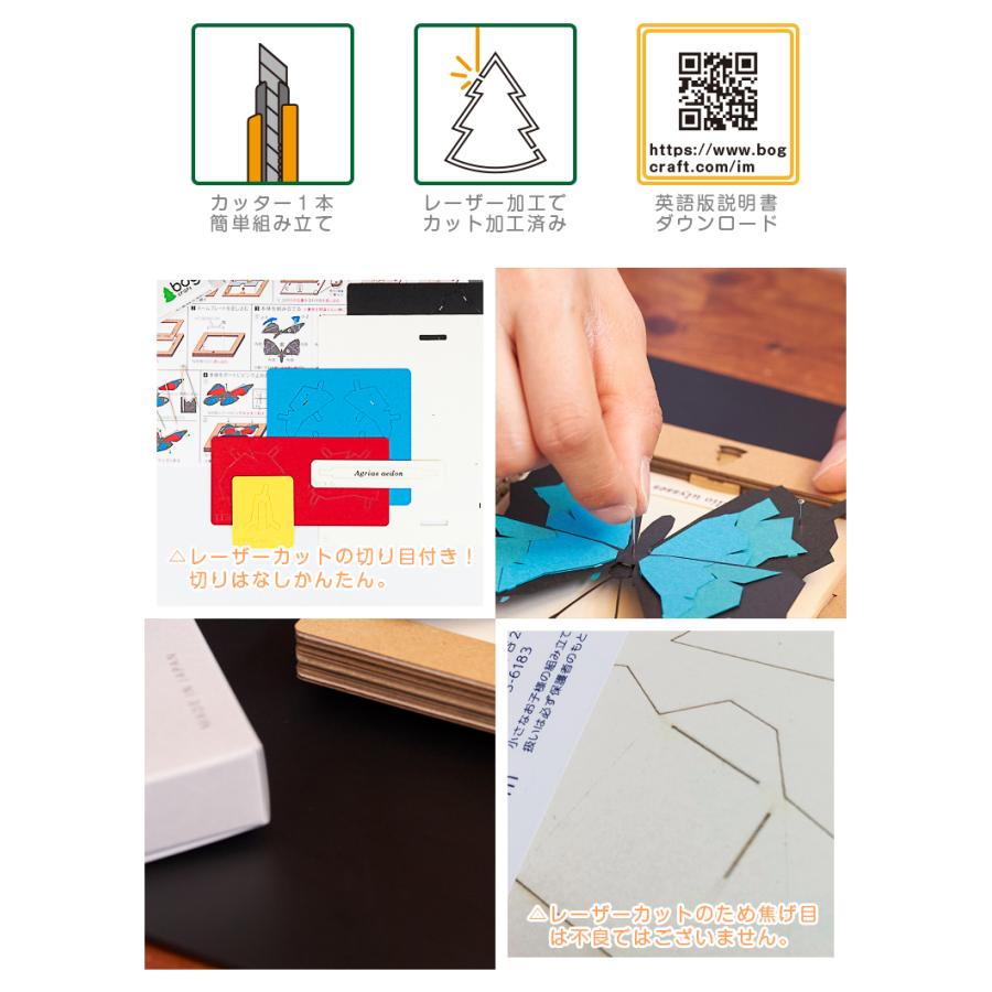 bog craft 組み立てるインテリア 工作 飾り ペーパークラフト SQAR