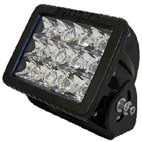 ライト行く ライトGXL LEDのフラッドライト、固定マウント、ブラックゴー 並行輸入品