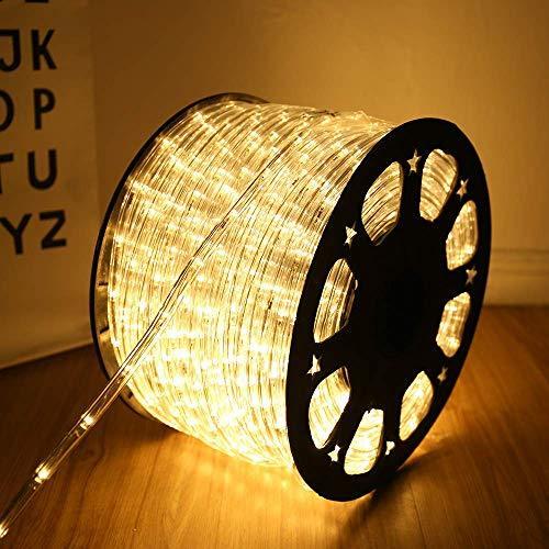 100 Feet 720 LED Rope Lights,2-Wire Low Voltage Waterproof Rope Lights Outd 並行輸入品