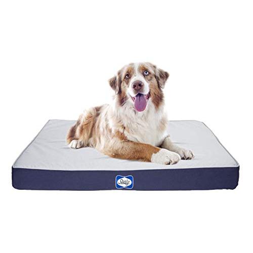 SEALY Dog Bed Defender Series, IPX5 Certified Indoor/Outdoor Dog Bed