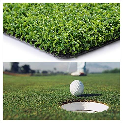 人気ショップが最安値挑戦 Golf あなたの探していた コレ をお届けします Putting 並行輸入品 Carp Grass Artificial Multi Use Size Custom 0 47 Turf Green ゴルフ練習器具 Pharmacon Uz