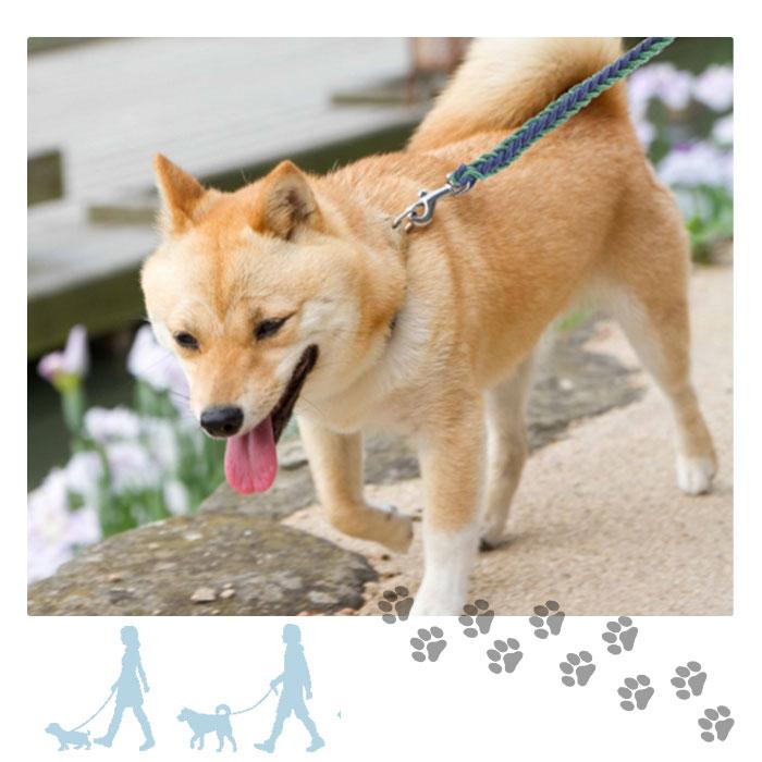 リード 犬 通販 小型犬 中型犬 大型犬 イヌ いぬ 犬用リード 太め 握りやすい 軽量 軽い おしゃれ カラフル 散歩 カジュアル トレーニング 訓練 S 10kg M :anjp003:BACKYARD FAMILY インテリアタウン - 通販 - Yahoo!ショッピング リード 犬 通販 小型犬 中型犬 大型犬 イヌ いぬ 犬用リード 太め 握りやすい 軽量 軽い おしゃれ カラフル 散歩 カジュアル トレーニング 訓練 S 10kg M :anjp003:BACKYARD FAMILY インテリアタウン - 通販 - Yahoo!ショッピング