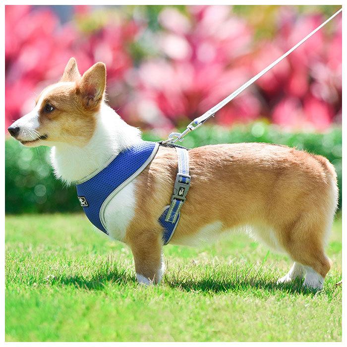 犬 リード ハーネス セット 通販 ハーネスリード 小型犬 可愛い 胴輪 犬用 中型犬 ペット用品 いぬ おしゃれ 散歩 反射 丈夫 シンプル かわいい お散歩 Bl854 Backyard Family インテリアタウン 通販 Yahoo ショッピング