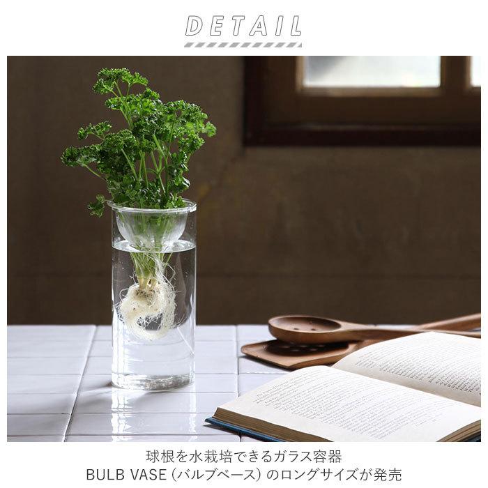 花瓶 ガラス 通販 BULB VASE バルブベース ロング KEGY4070 ガラスベース ガラス花器 かわいい 水栽培 容器 おしゃれ 球根 液肥 かわいい 敬老の日