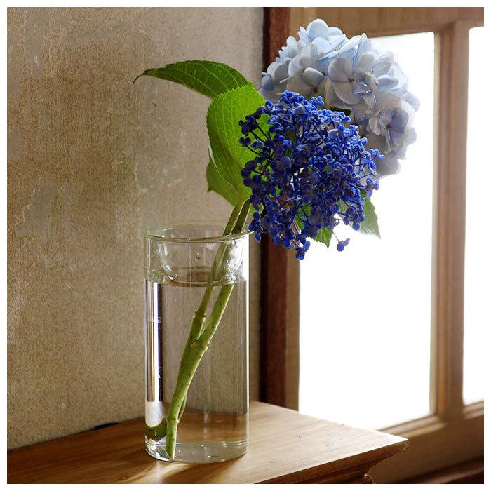 花瓶 ガラス 通販 BULB VASE バルブベース ロング KEGY4070 ガラスベース ガラス花器 かわいい 水栽培 容器 おしゃれ 球根 液肥 かわいい 敬老の日