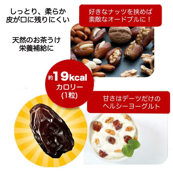 デーツクラウン 500g 通販 無添加 種あり クナイジ種 ナツメヤシの実 ドライフルーツ 砂糖不使用 なつめやし 非遺伝子組換 無着色 マタニティ 産後 貧血 Datescrown500 Backyard Family インテリアタウン 通販 Yahoo ショッピング