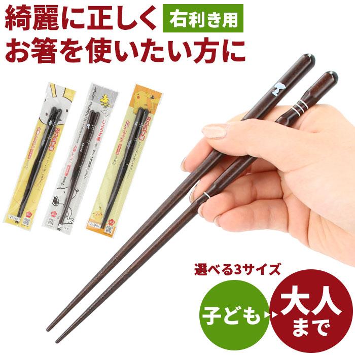 矯正箸 子供 通販 お箸 18cm 21cm 23cm キャラクター グッズ はし