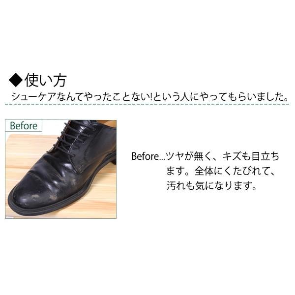 COLLONIL（コロニル） 靴磨きセット シューケアセット 靴磨き 布