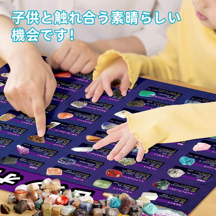 XXTOYS 鉱石標本48種 天然鉱石 宝石おもちゃ 岩石標本 XXTOYS 鉱石標本48種 天然鉱石 宝石おもちゃ 岩石標本