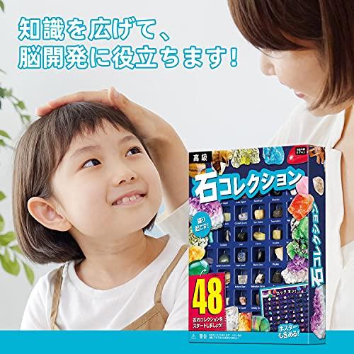 XXTOYS 鉱石標本48種 天然鉱石 宝石おもちゃ 岩石標本 XXTOYS 鉱石標本48種 天然鉱石 宝石おもちゃ 岩石標本