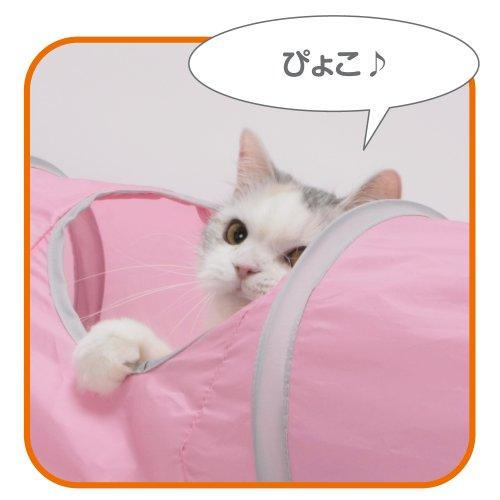 ピンクの猫 100000001006983275_10313_001.jpg