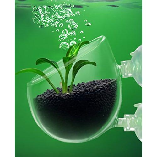 水槽ポット 水草 グラスポットアクアリウム 植木鉢 取付簡単