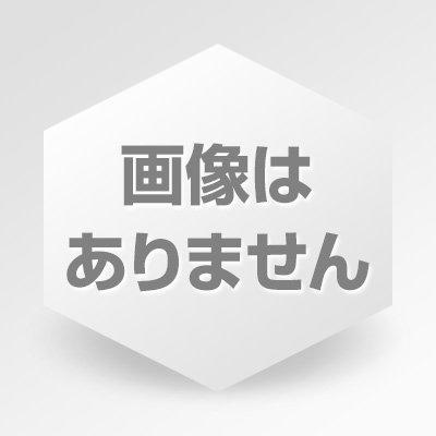 カーメイト 車用 ノンスリップマット 激ピタッシート すべり止めシート L 日本製 SZ111｜mochii0055｜02