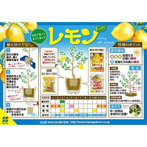 花ごころ レモン・ミカン・柑橘の肥料 500g｜mochii0055｜04