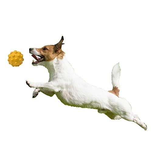 PLATZ PET SUPPLISES&FUN(プラッツ) 犬用おもちゃ アトミックボール Lサイズ レッド｜mochii0055｜07