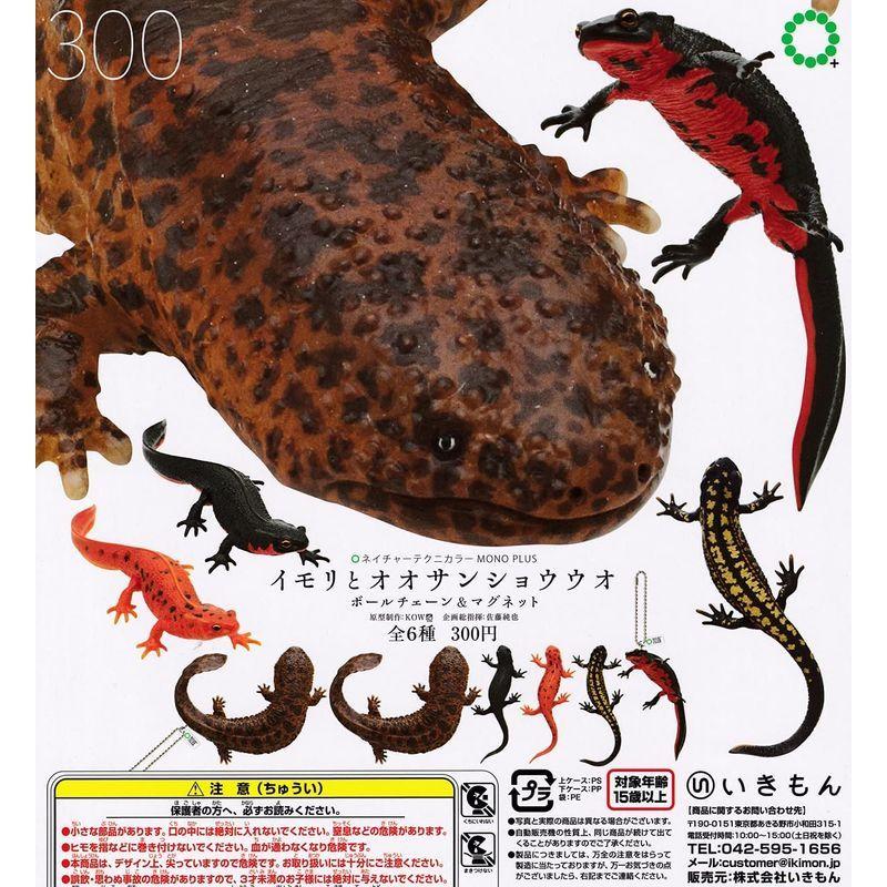 ネイチャーテクニカラーmono Plus イモリとオオサンショウウオ ボールチェーン マグネット 全6種セット フルコンプ ガチャガチャ 017 Mochiko Shop 通販 Yahoo ショッピング