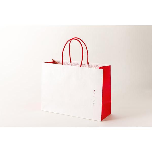 うさぎ専用オリジナル紙袋（2ロール、4ロール用） : 望月製紙 - 通販
