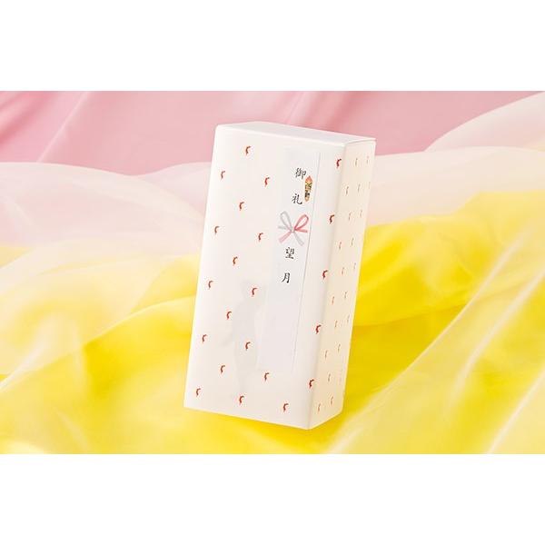 望月ページ 04sep2024_M.jpg